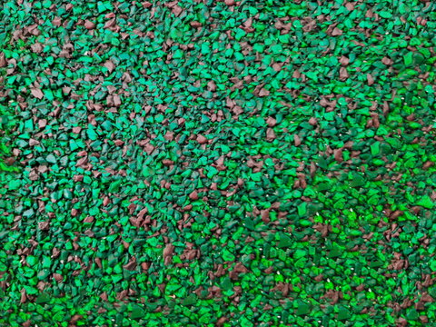  地衣，杂草，野草地68 