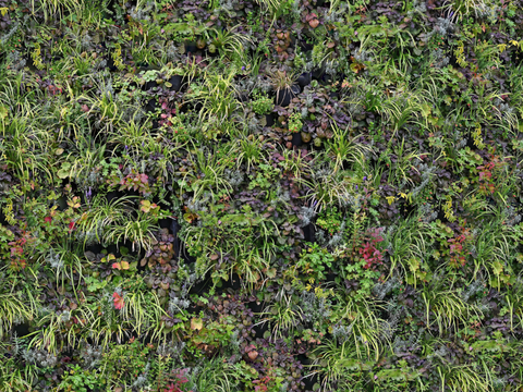  垂直绿植墙，生态绿植墙绿化墙217 