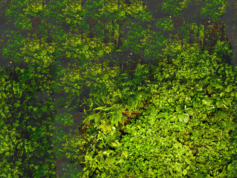 垂直绿植墙，生态绿植墙绿化墙141