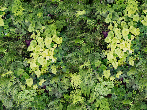  垂直绿植墙，生态绿植墙绿化墙134 