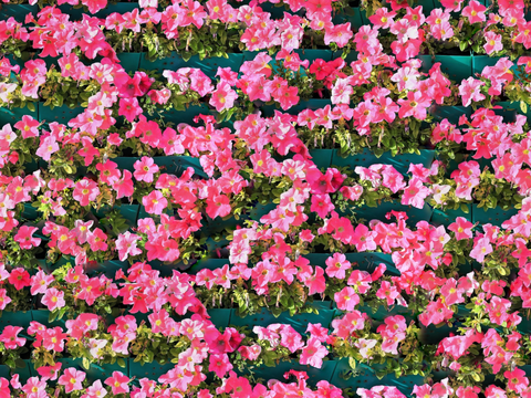 垂直绿植墙，生态绿植墙绿化墙166