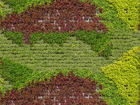  垂直绿植墙，生态绿植墙绿化墙31 