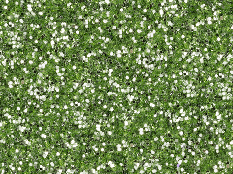 地衣，杂草，野草地62