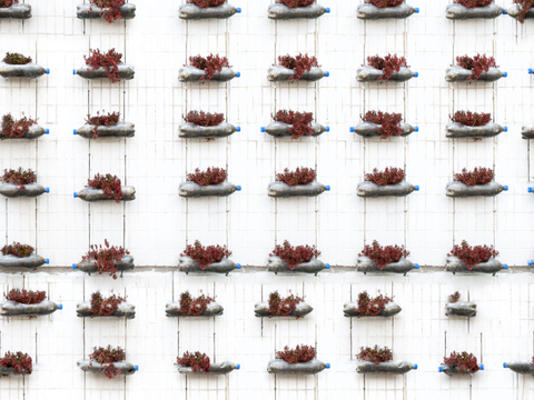 垂直绿植墙，生态绿植墙绿化墙197