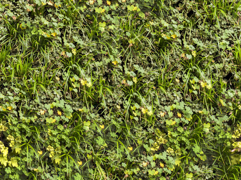  垂直绿植墙，生态绿植墙绿化墙89 