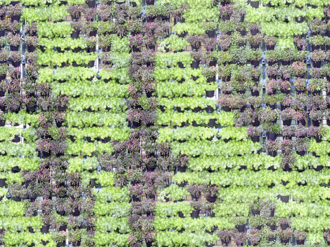  垂直绿植墙，生态绿植墙绿化墙68 