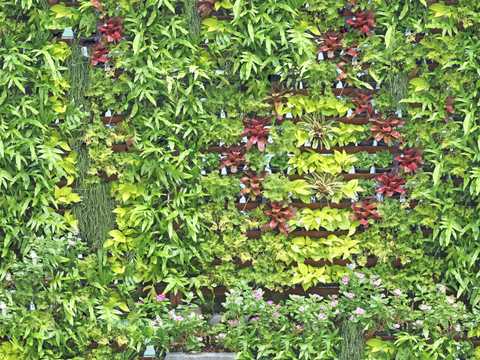  垂直绿植墙，生态绿植墙绿化墙93 