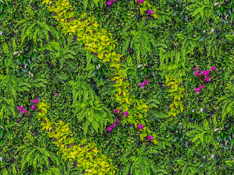  垂直绿植墙，生态绿植墙绿化墙45 