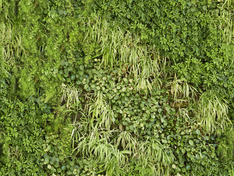 垂直绿植墙，生态绿植墙绿化墙167