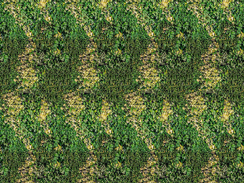  垂直绿植墙，生态绿植墙绿化墙29 