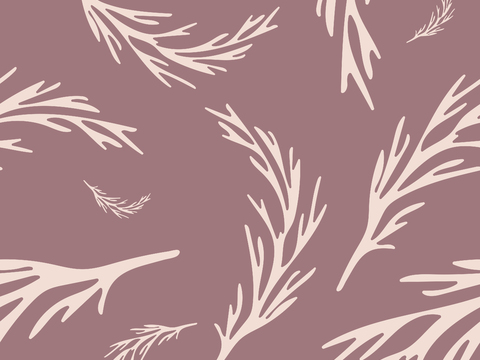 治愈系小清晰植物森系纹理图案肌理47