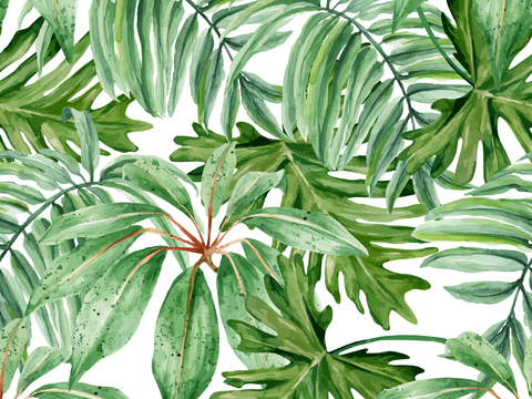  小清晰植物花纹图案纹理6 