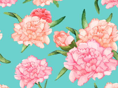 小清晰动植物图案纹理肌理11