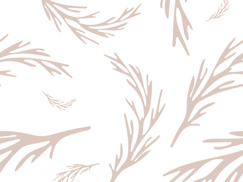  治愈系小清晰植物森系纹理图案肌理49 