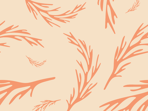 治愈系小清晰植物森系纹理图案肌理44