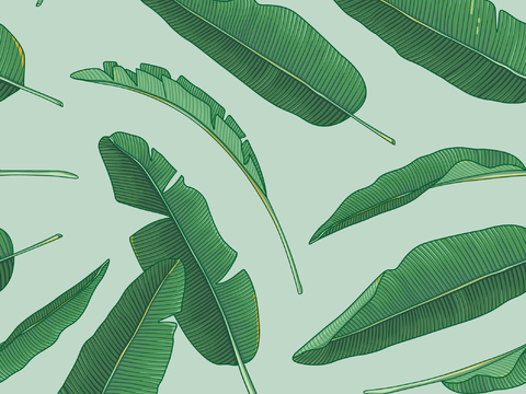  小清晰植物花纹图案纹理15 