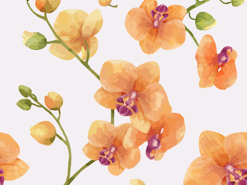 小清新治愈系植物图案纹理肌理32