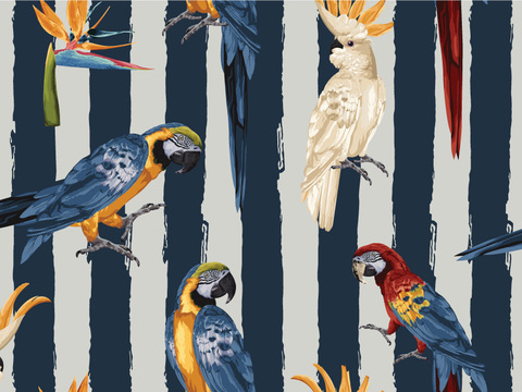 小清晰动植物图案纹理肌理45