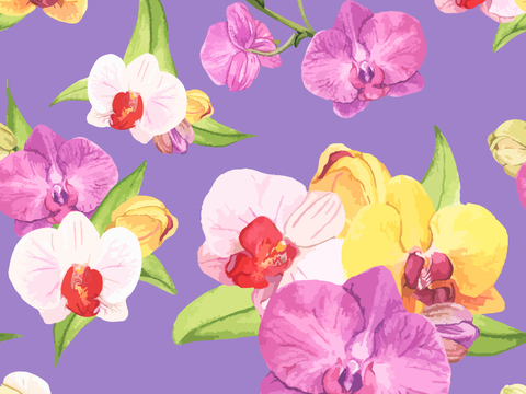 小清晰动植物图案纹理肌理19