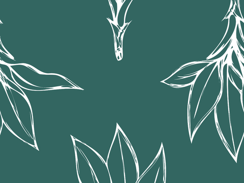 治愈系小清晰植物森系纹理图案肌理70