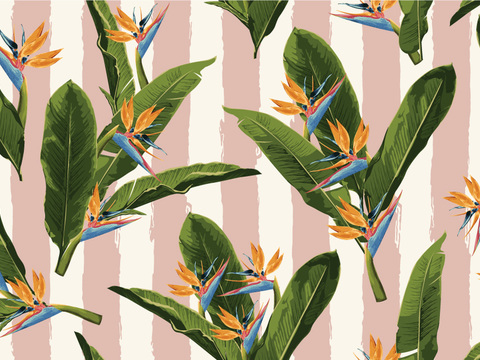 小清晰动植物图案纹理肌理44