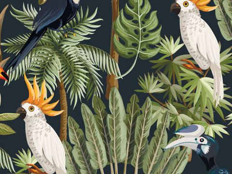 小清晰动植物图案纹理肌理33