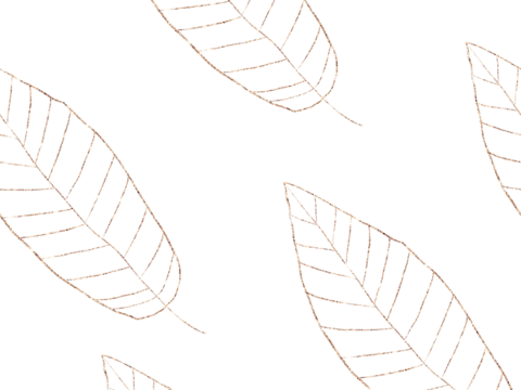 热带非洲动物植物手绘水彩图案纹理肌理26