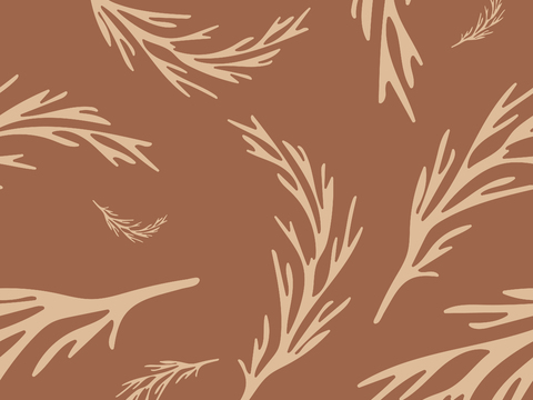 治愈系小清晰植物森系纹理图案肌理43