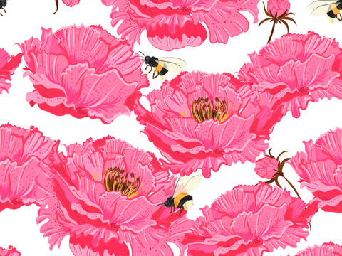 小清晰动植物图案纹理肌理21