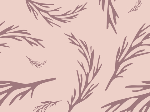 治愈系小清晰植物森系纹理图案肌理48