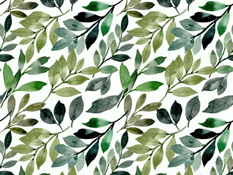 水彩风小清晰植物树叶图案纹理肌理34