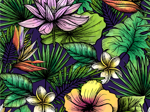 小清晰动植物图案纹理肌理1