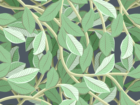 小清新治愈系植物图案纹理肌理25
