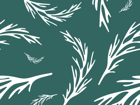 治愈系小清晰植物森系纹理图案肌理50