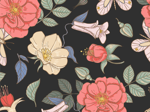 小清晰动植物图案纹理肌理40