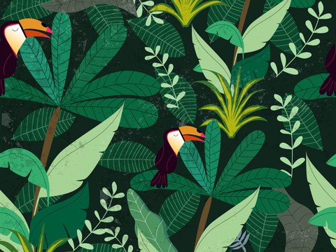 小清晰动植物图案纹理肌理7