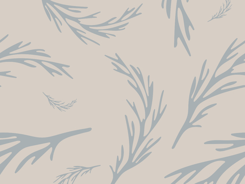 治愈系小清晰植物森系纹理图案肌理42