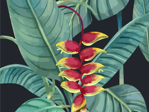 小清新治愈系植物图案纹理肌理33