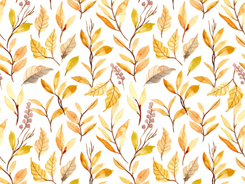  水彩风小清晰植物树叶图案纹理肌理14 