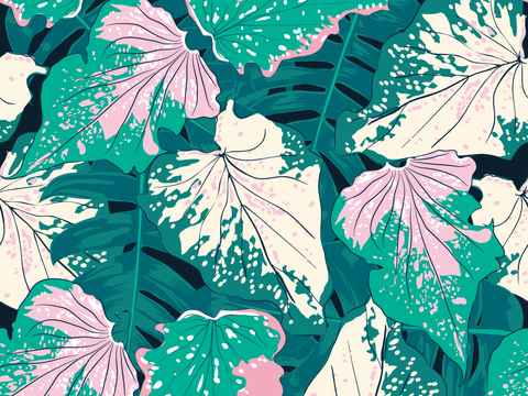 小清晰动植物图案纹理肌理3