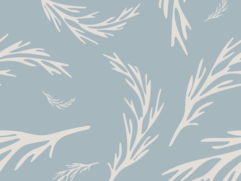 治愈系小清晰植物森系纹理图案肌理41