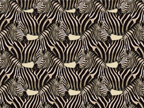 小清晰动植物图案纹理肌理36