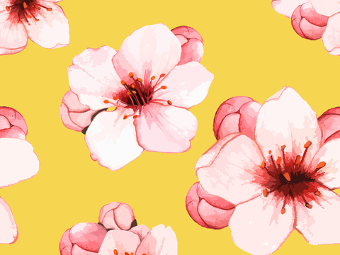 小清晰动植物图案纹理肌理30