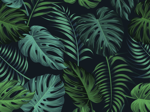  时尚热带植物花纹图案纹理肌理70 