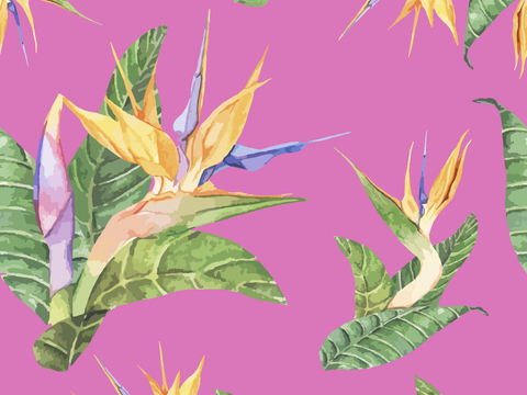 小清晰动植物图案纹理肌理28