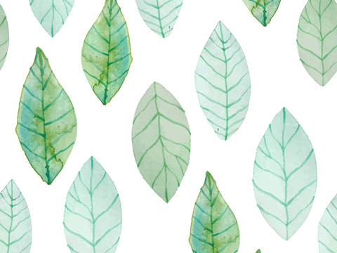  小清晰植物花纹图案纹理16 