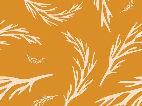 治愈系小清晰植物森系纹理图案肌理45