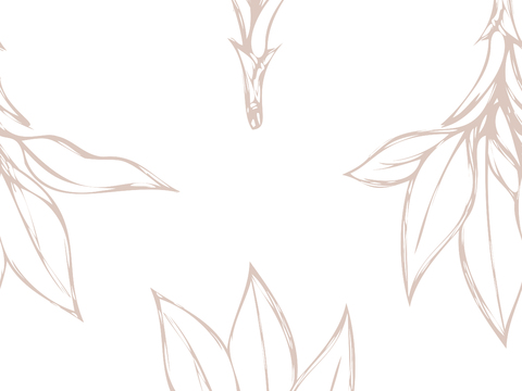 治愈系小清晰植物森系纹理图案肌理69