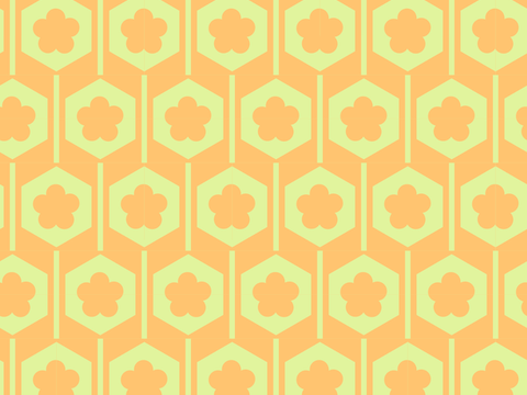 小清晰日式和风图案纹理肌理51