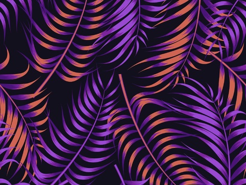 时尚热带植物花纹图案纹理肌理24